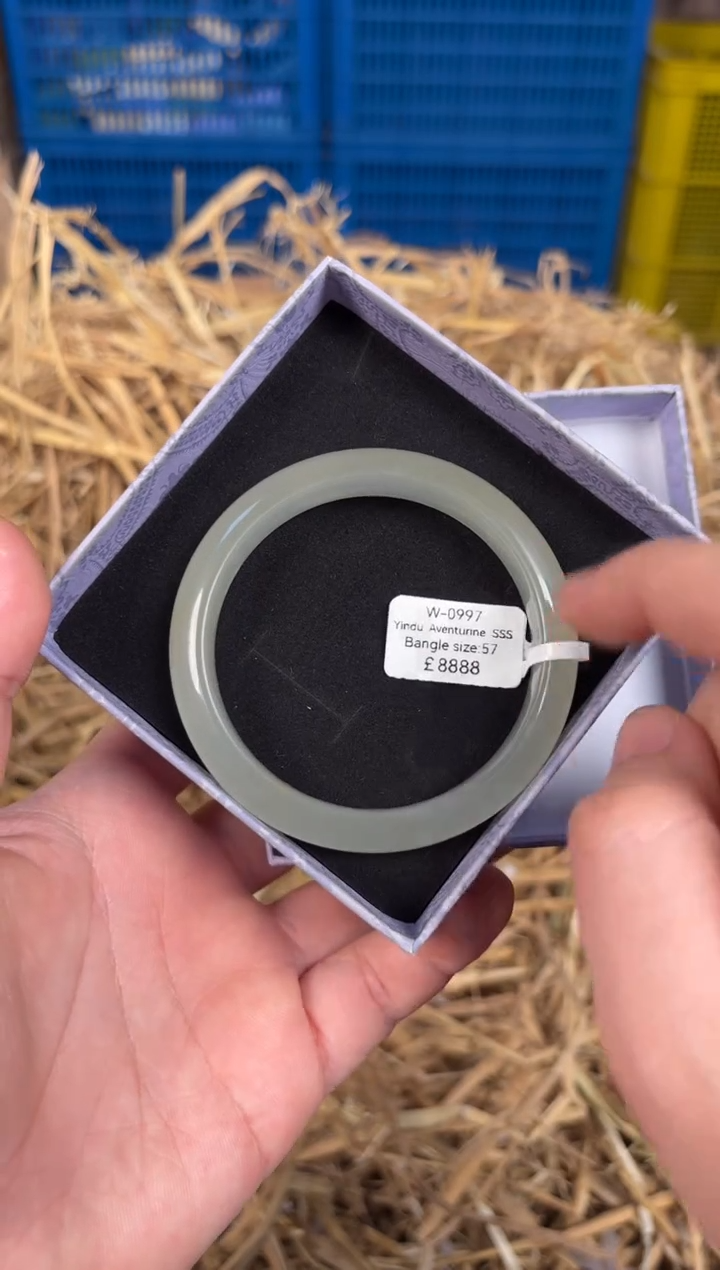 未镶嵌手镯石英质玉W0997