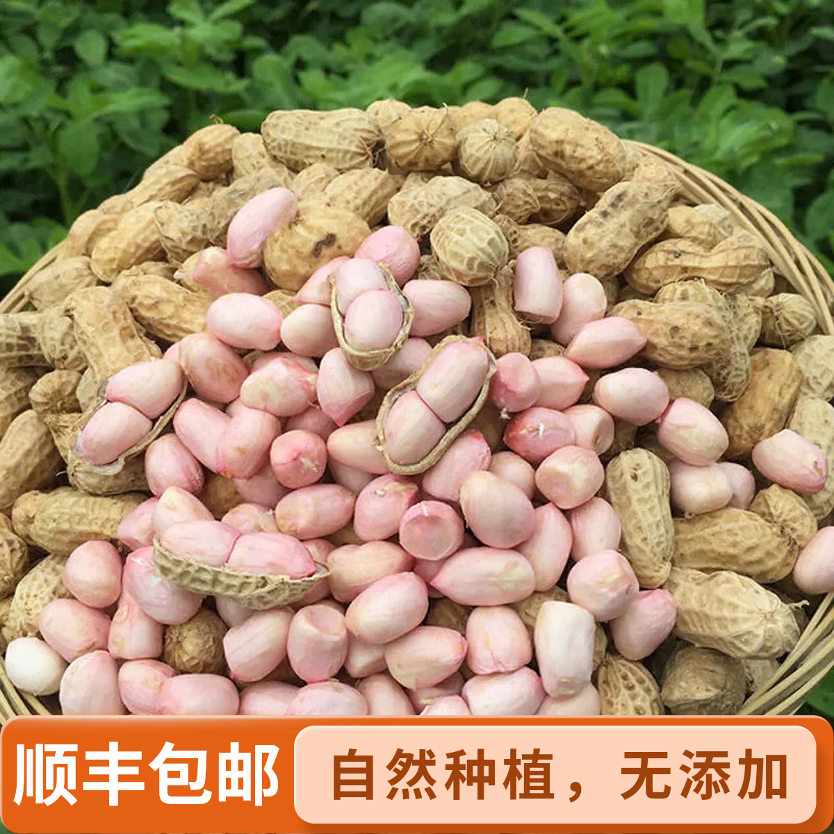 【顺丰包邮】2025新鲜现挖带壳带泥花生可生吃水煮农家自种