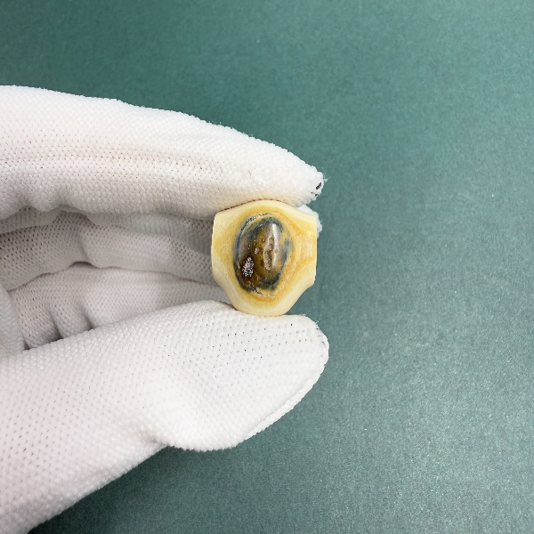 H5476天然猛犸牙 蓝眼 鲨鱼背三通 支持鉴定 假一罚四