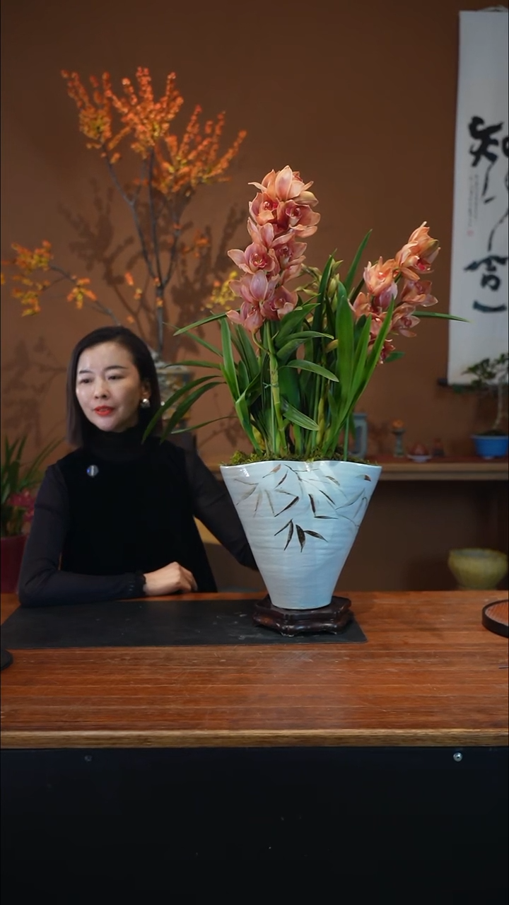 全部花朵梦境盆景盆景盆景