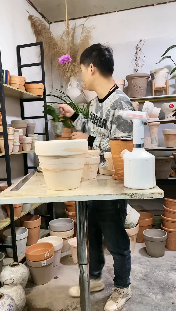 【闪购商品】红陶20*19玛奇朵 1盆无托