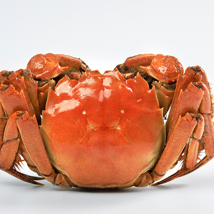 【活蟹】精品江苏大闸蟹 公蟹6-5.7两/只 母蟹4-3.7两/只 6/8/10只装 顺丰京东冷链