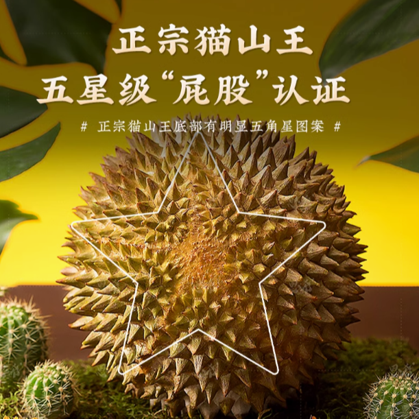 4号【AA大猫山王D197保五房核小】一物一拍 液氮冷冻新鲜 昆明同城小时达 市斤猫山王马来西亚