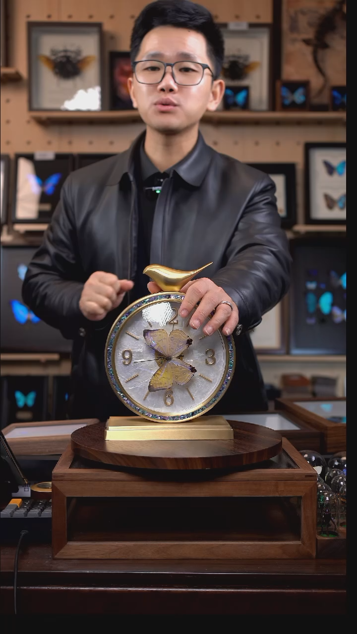 夜明珠闪蝶小鸟钟 