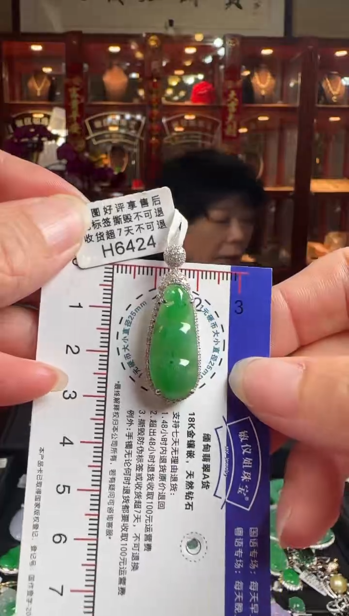 【闪购商品】翡翠颈饰18K金镶嵌H6424冰绿富贵豆