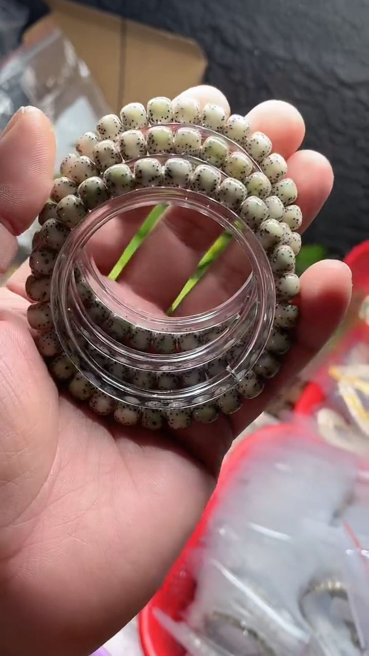 星月菩提吊坠海南星月菩提《C026》8X7单圈