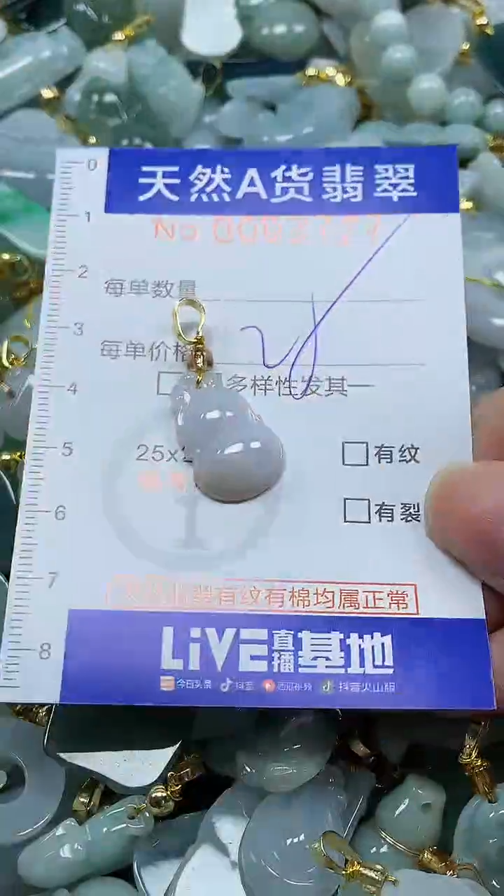 颈饰未镶嵌翡翠纯天然a货翡翠