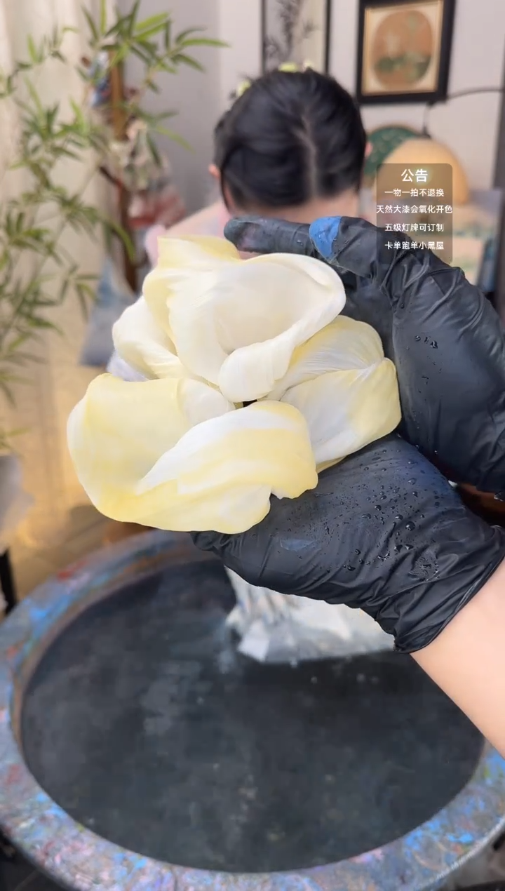 18 黄白游 大贝壳