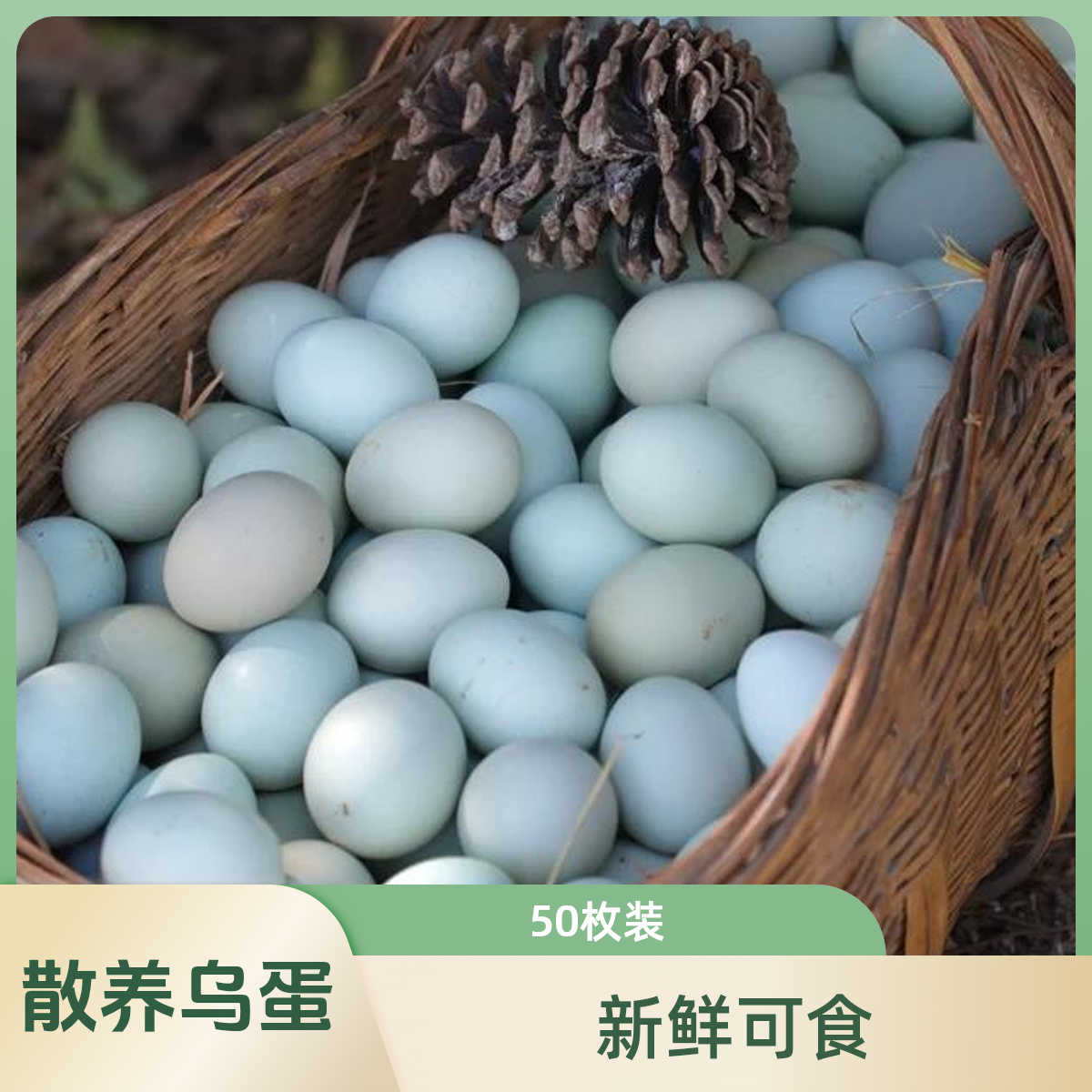 【绿皮柴蛋】 散养绿皮柴鸡蛋京津冀  京东配送明日达