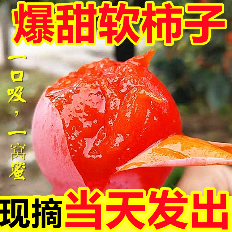 正宗火晶柿子应当季新鲜水果一整箱批发包邮小柿子软糯香甜