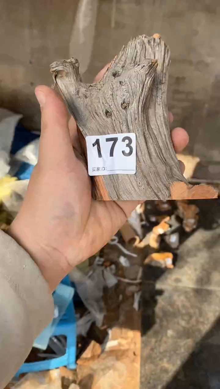 【闪购商品】柏木太行陈化崖柏（津诚林）切片