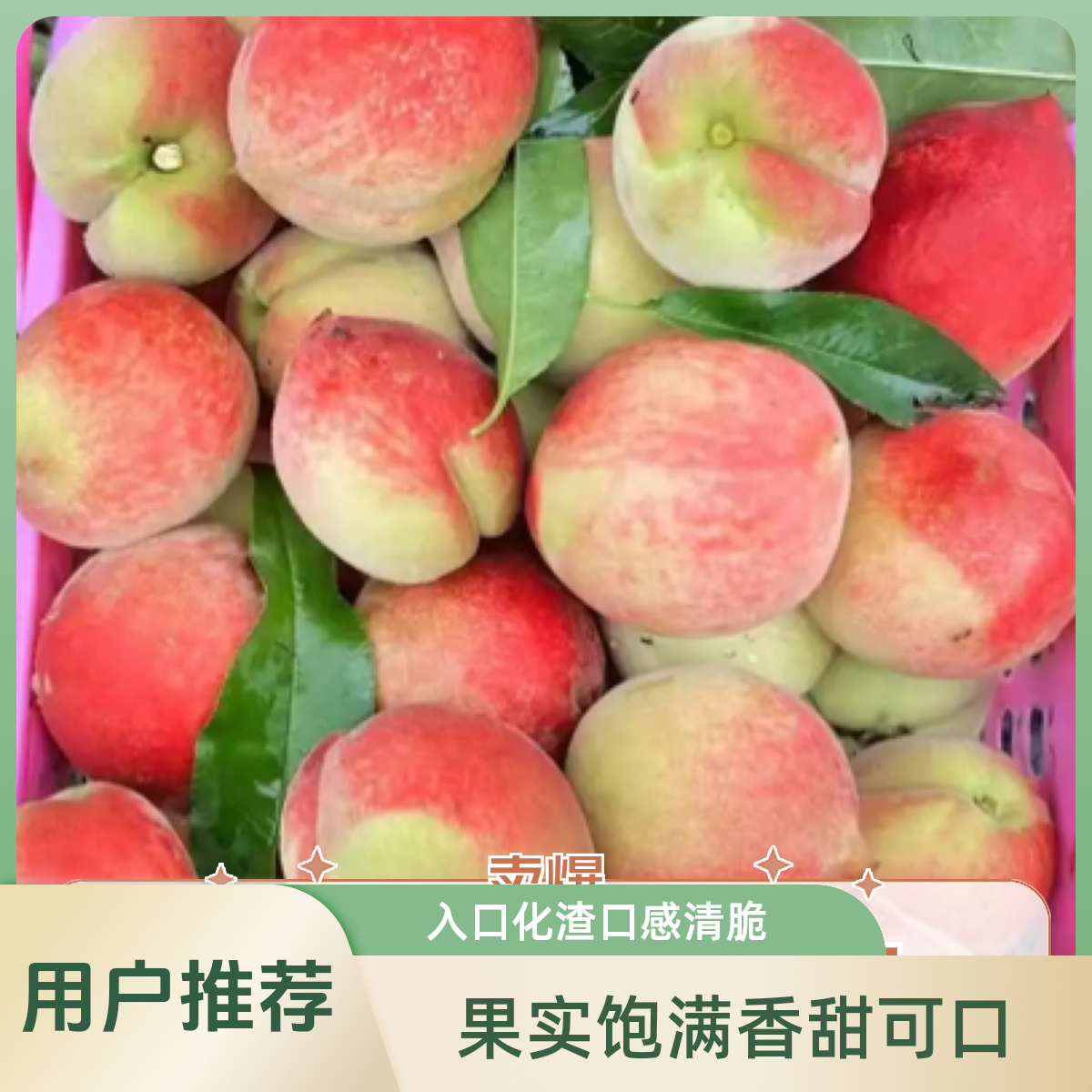 清脆甘甜入口化渣香甜可口桃子高山种植自然成熟纯甜不酸重庆市