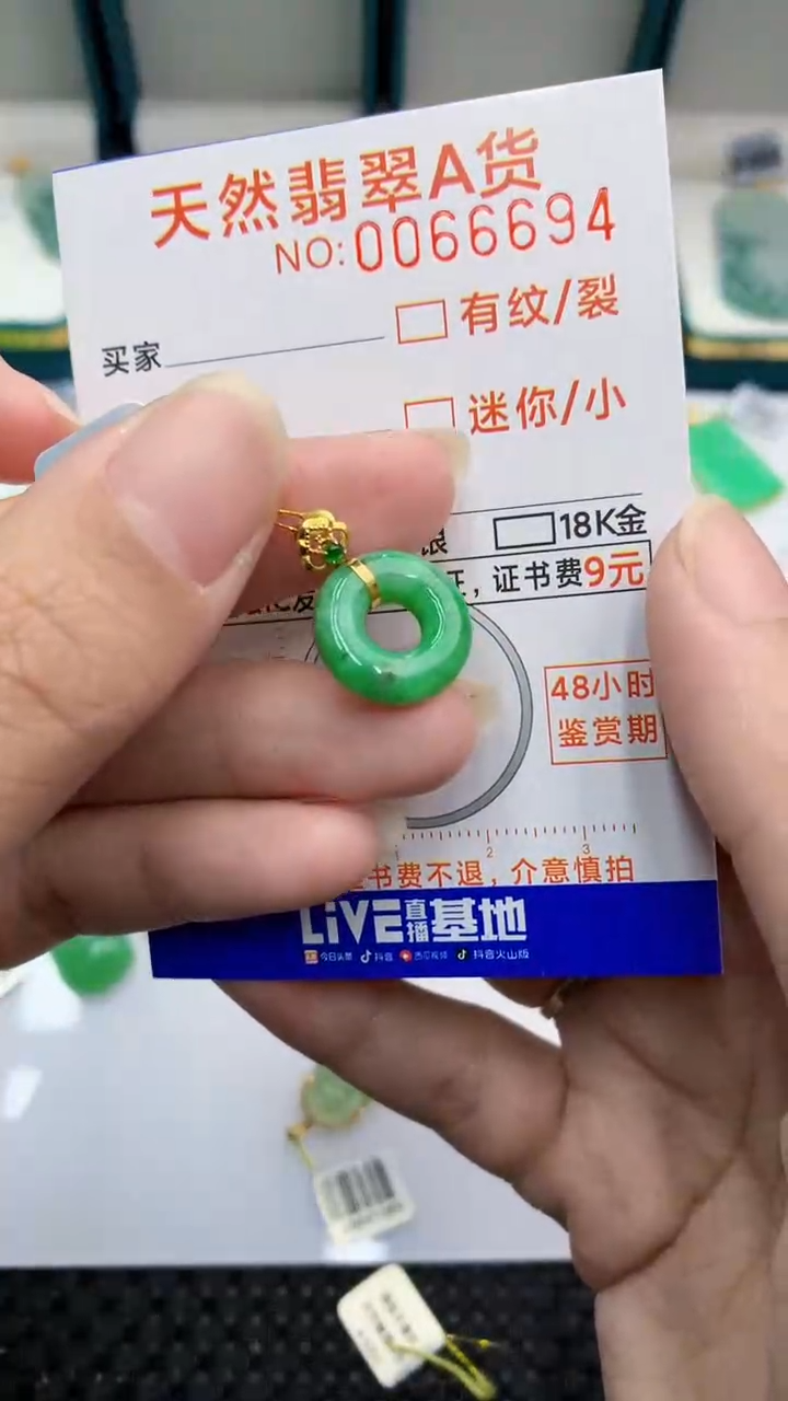 【闪购商品】翡翠颈饰18K金镶嵌            8