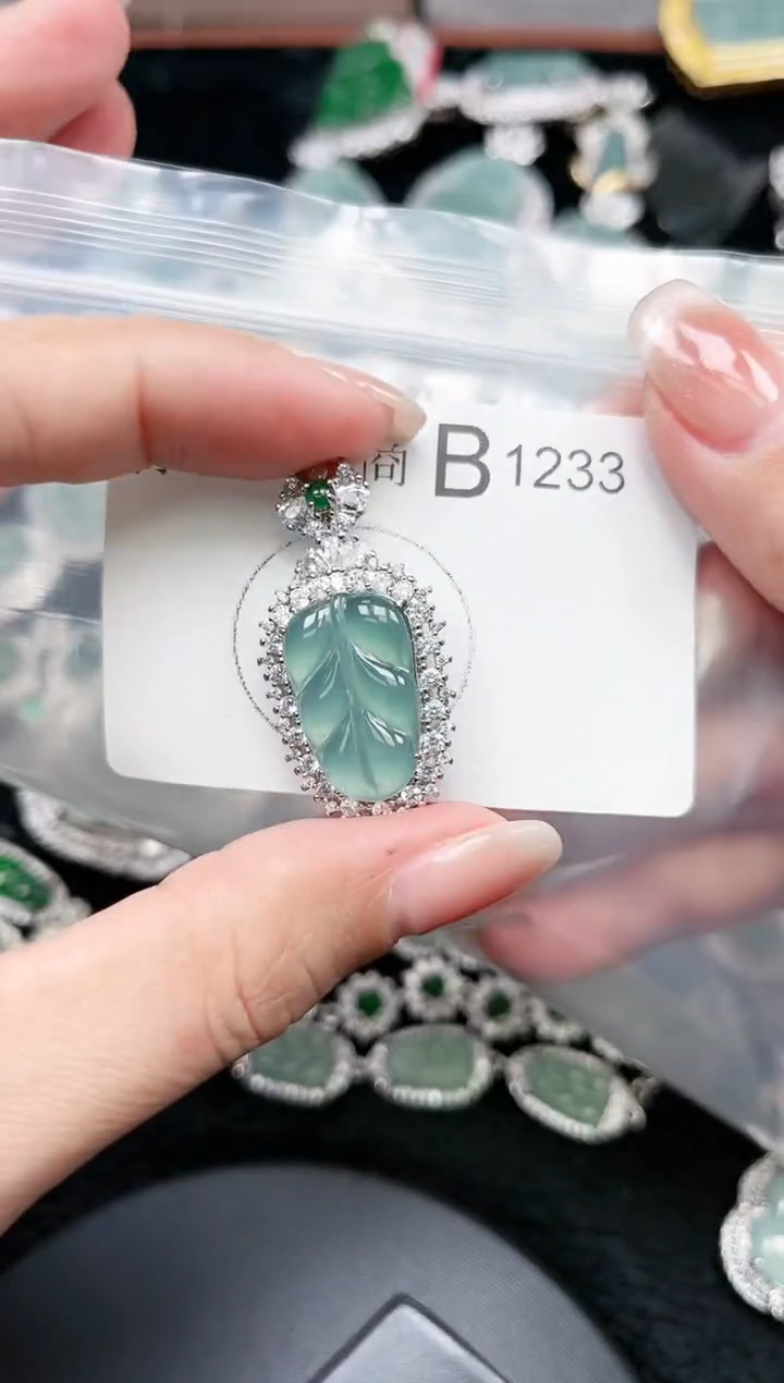 【闪购商品】翡翠颈饰未镶嵌赠皮绳1233