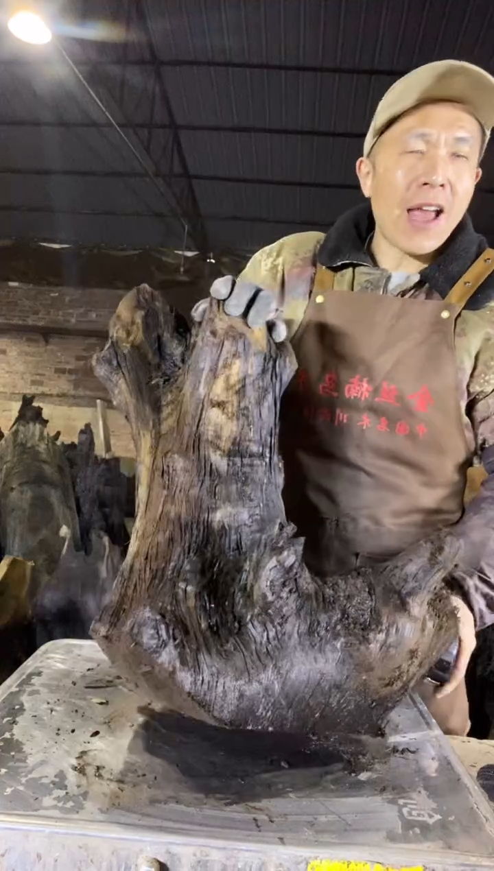 其他楠木（金丝楠）金丝楠小叶桢楠12