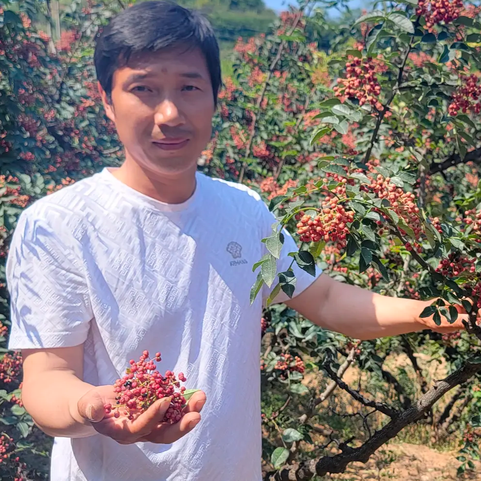 偏远地区   陕西韩城大红袍花椒 农家自产 特选干花椒  麻味十足 