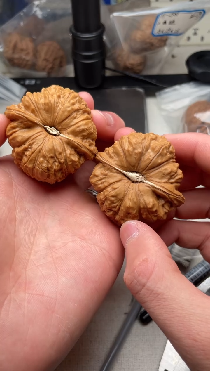 把件文玩核桃南瓜