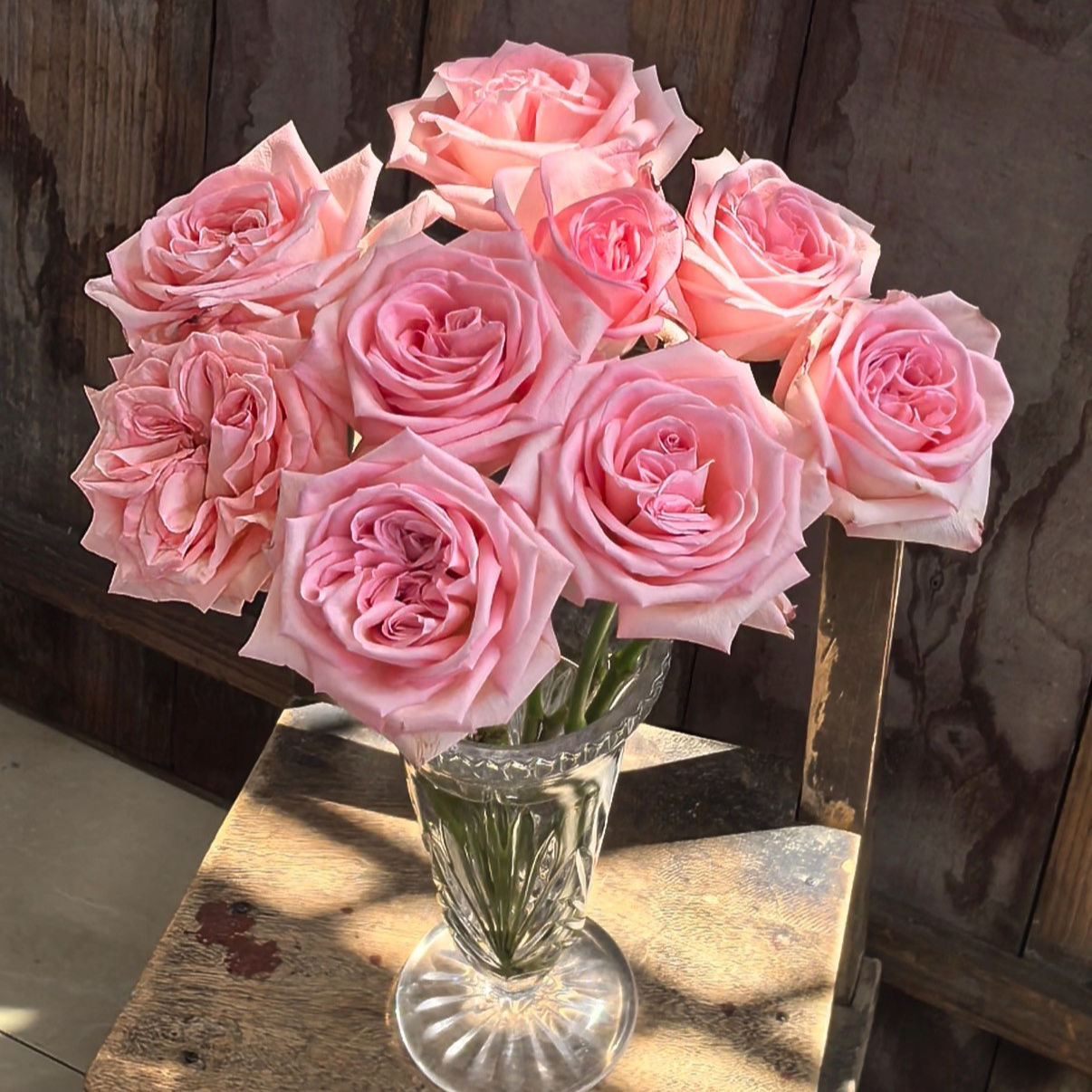 【千寻】香水宝塔单头玫瑰云南直发