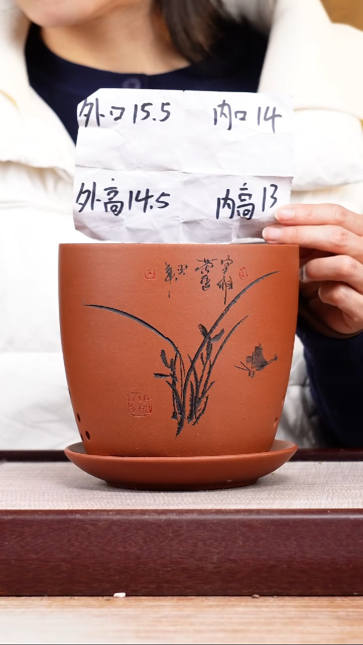 紫砂花盆清水泥君子兰2号一只带托盘