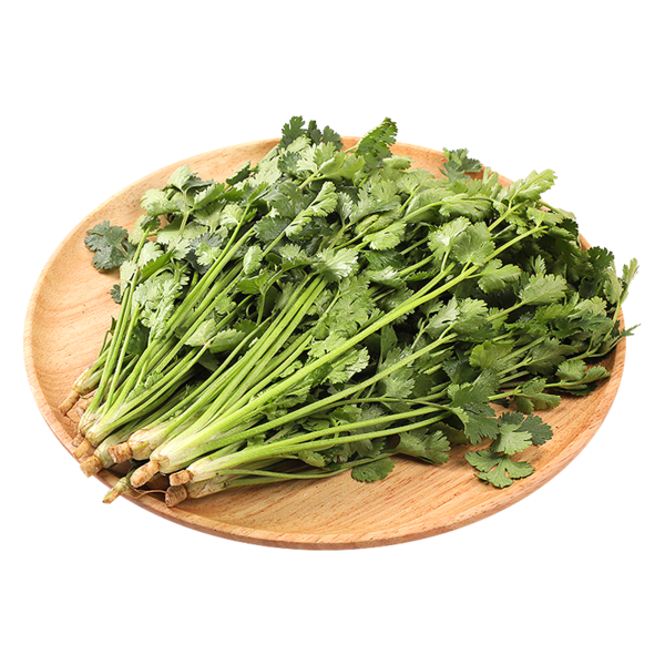 香菜 100g