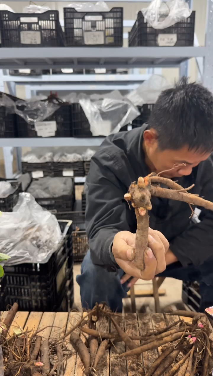 老****女29.9 天使  老母亲找儿女 