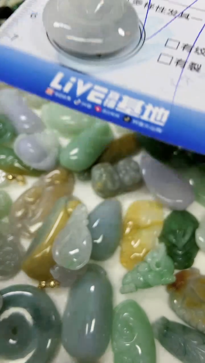 【闪购商品】翡翠颈饰未镶嵌闪购0050990