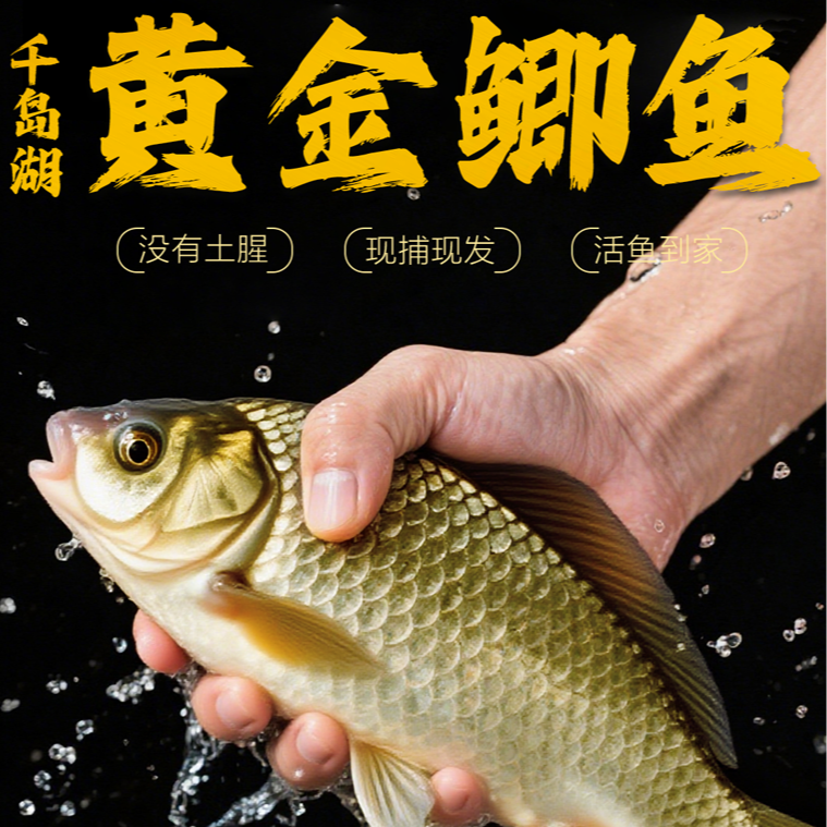 （直播现称链接）千岛湖黄金鲫鱼红烧炖汤清蒸每条6到8两