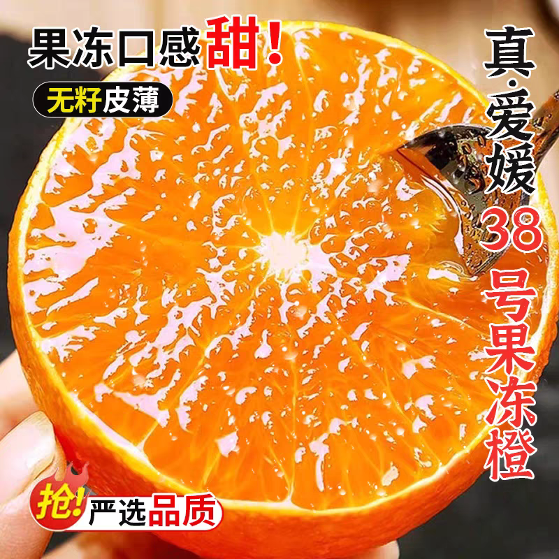正宗四川爱媛38号果冻橙新鲜橙子当季香甜爆汁现摘现发