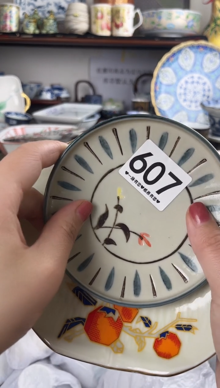 瓷片607..............