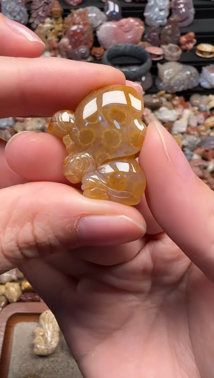 颈饰未镶嵌硅化珊瑚（珊瑚玉）171