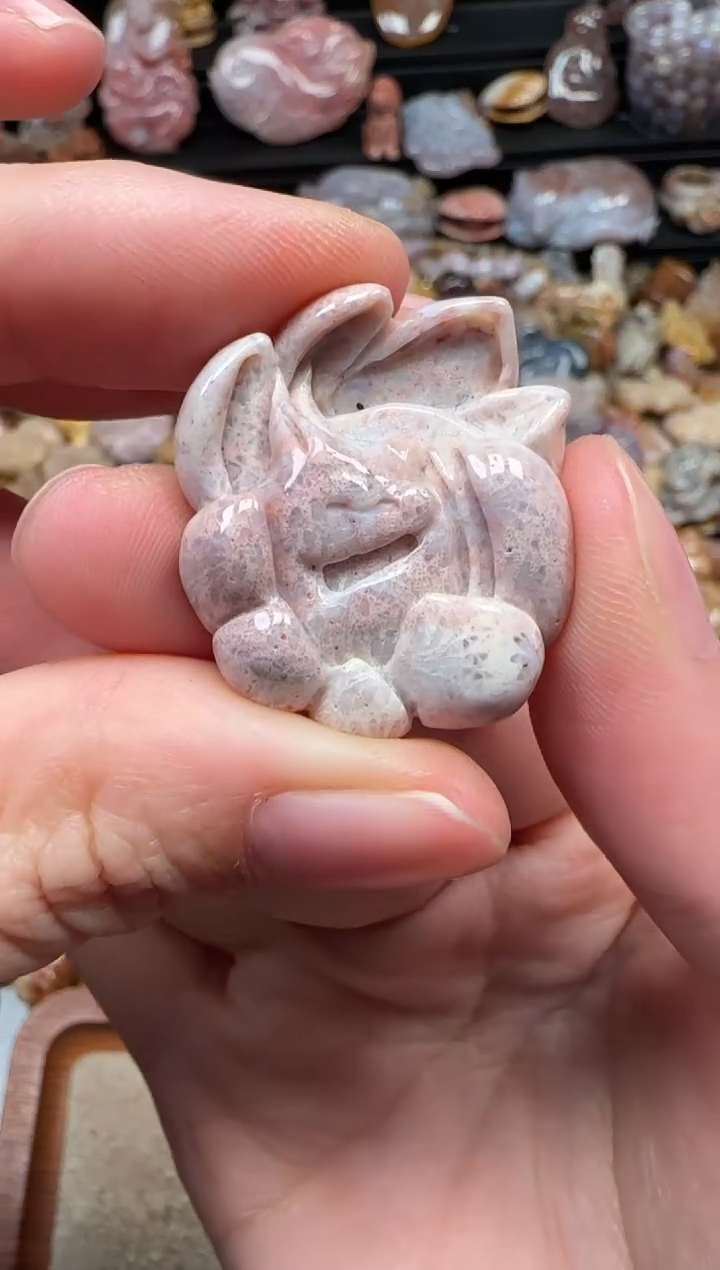 颈饰未镶嵌硅化珊瑚（珊瑚玉）845