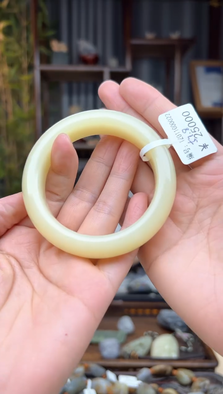 【闪购商品】和田玉颈饰未镶嵌手镯  57.8