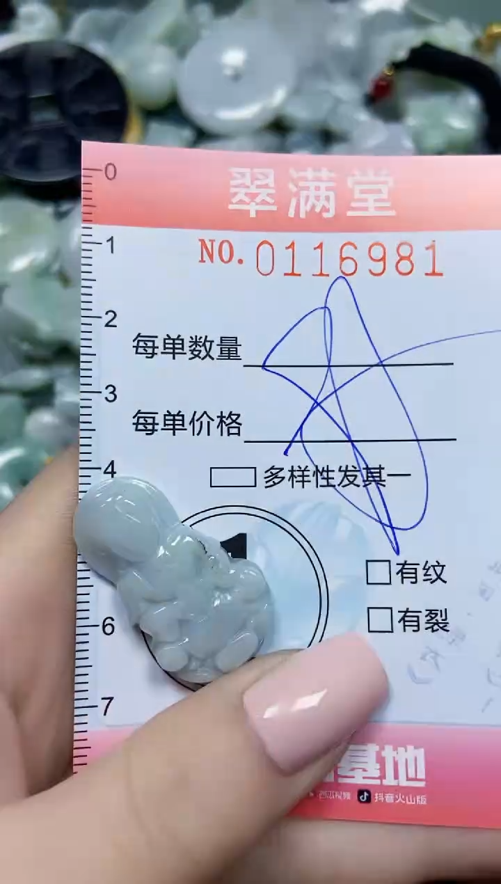 【闪购商品】翡翠颈饰未镶嵌闪购0116981