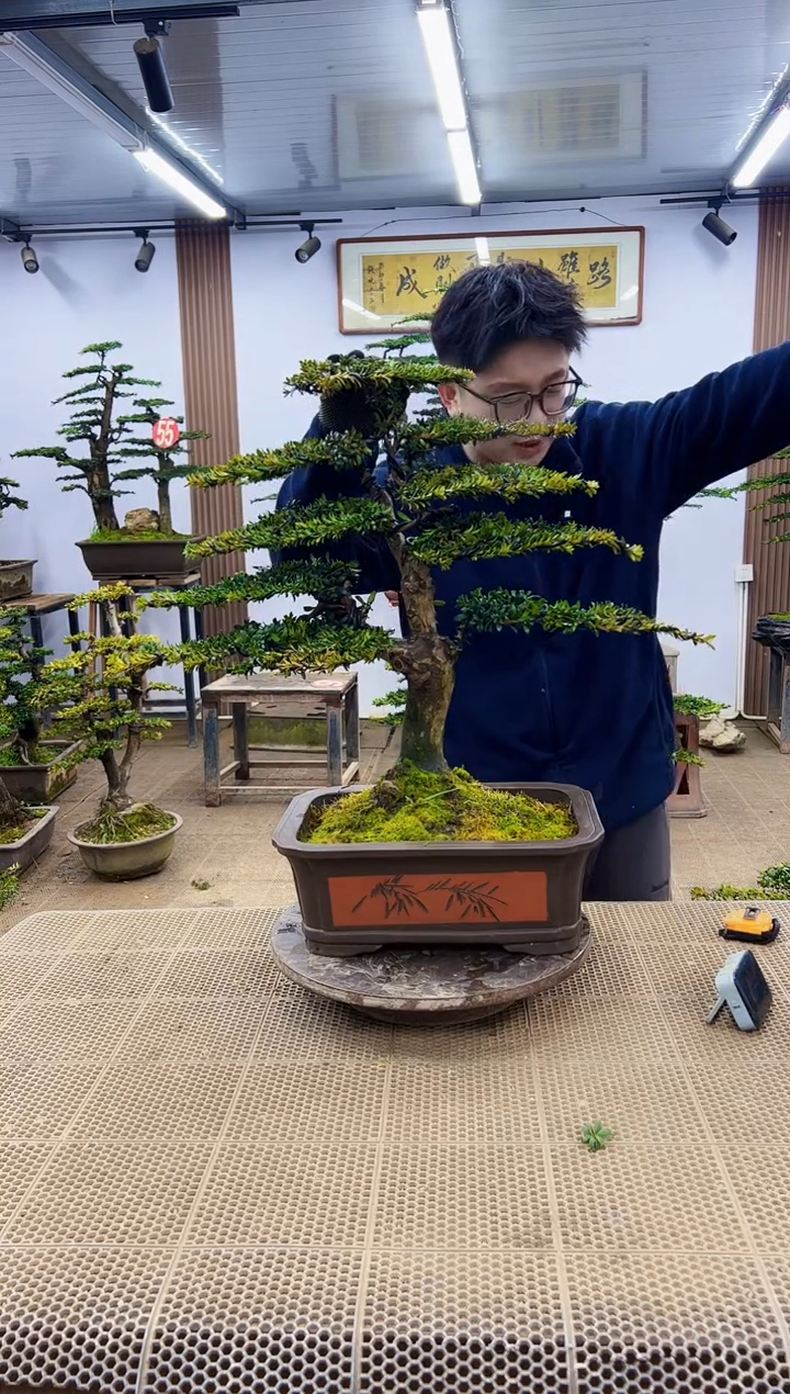 【闪购商品】一物一拍，所见即所得