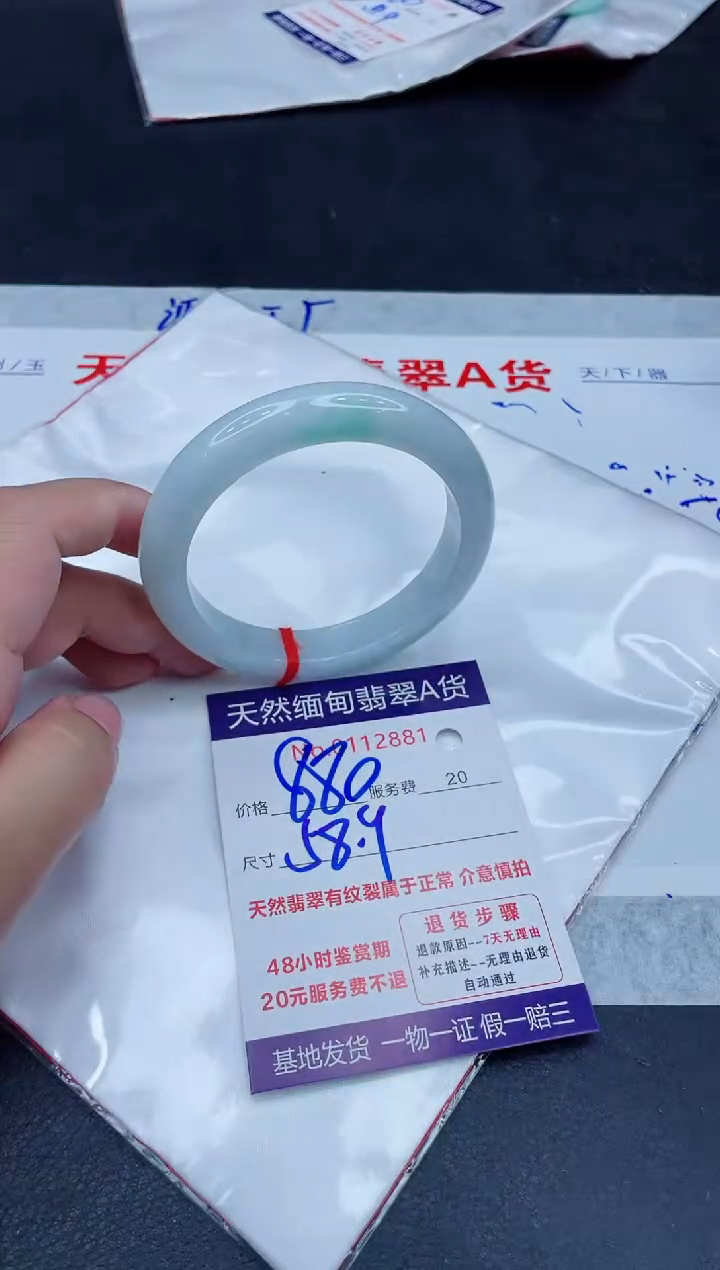 未镶嵌手镯翡翠880.0000