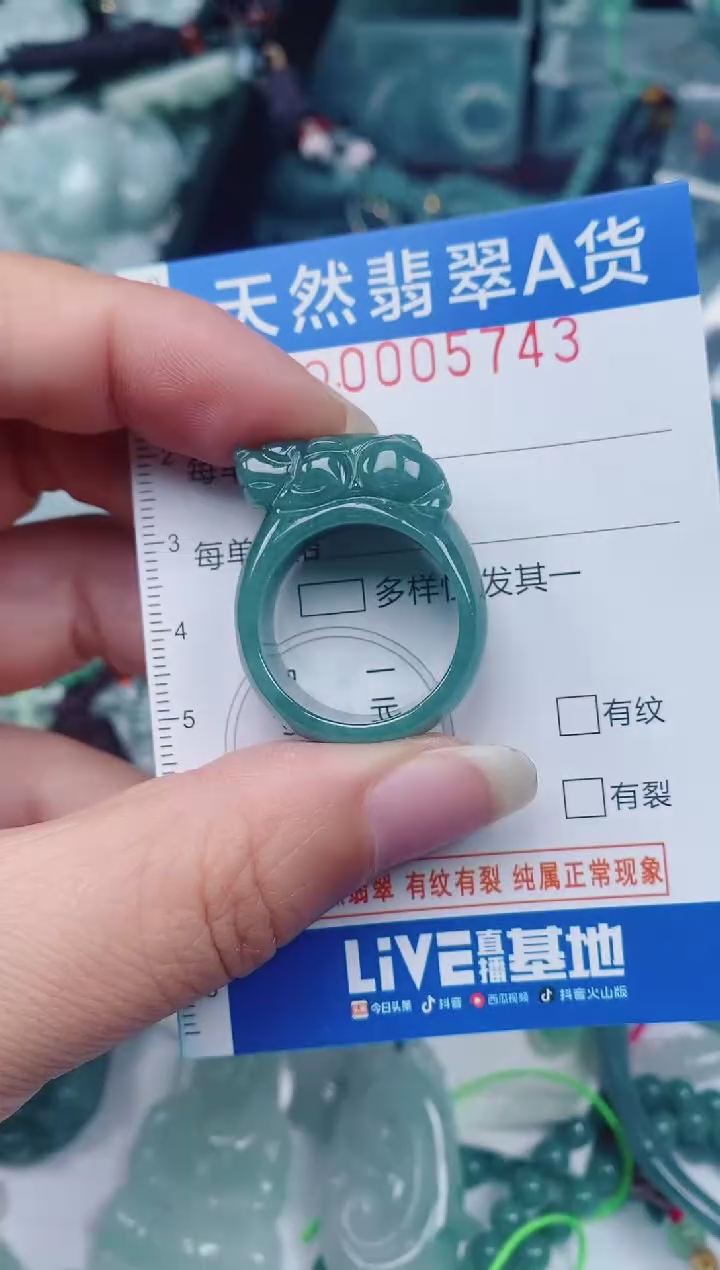 颈饰未镶嵌翡翠00005743