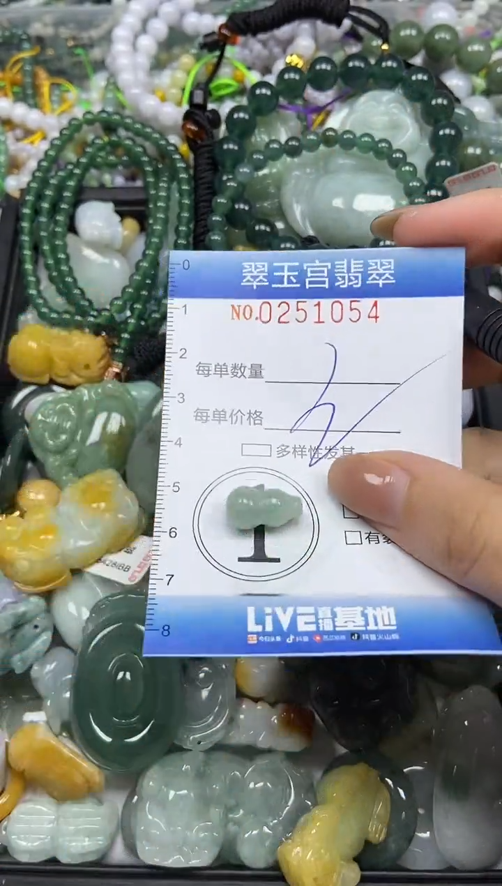 颈饰未镶嵌翡翠闪购C0251054