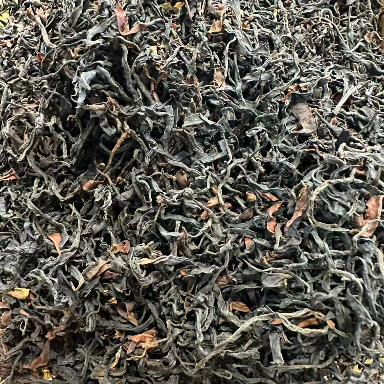 【云南老罗普洱茶】 2025年红茶普洱红茶 散茶100克