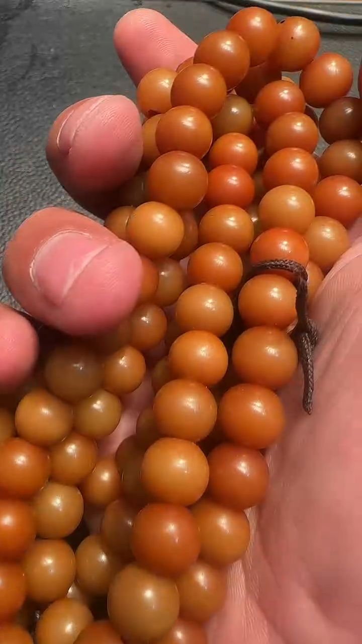 菩提根念珠菩提根念珠