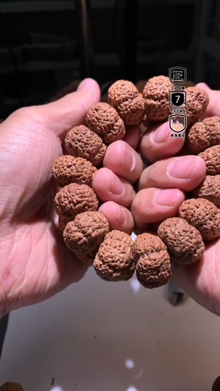 金刚菩提手串245