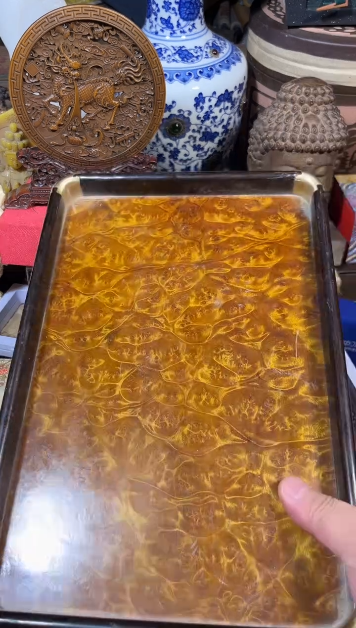 黄杨木111111111111111