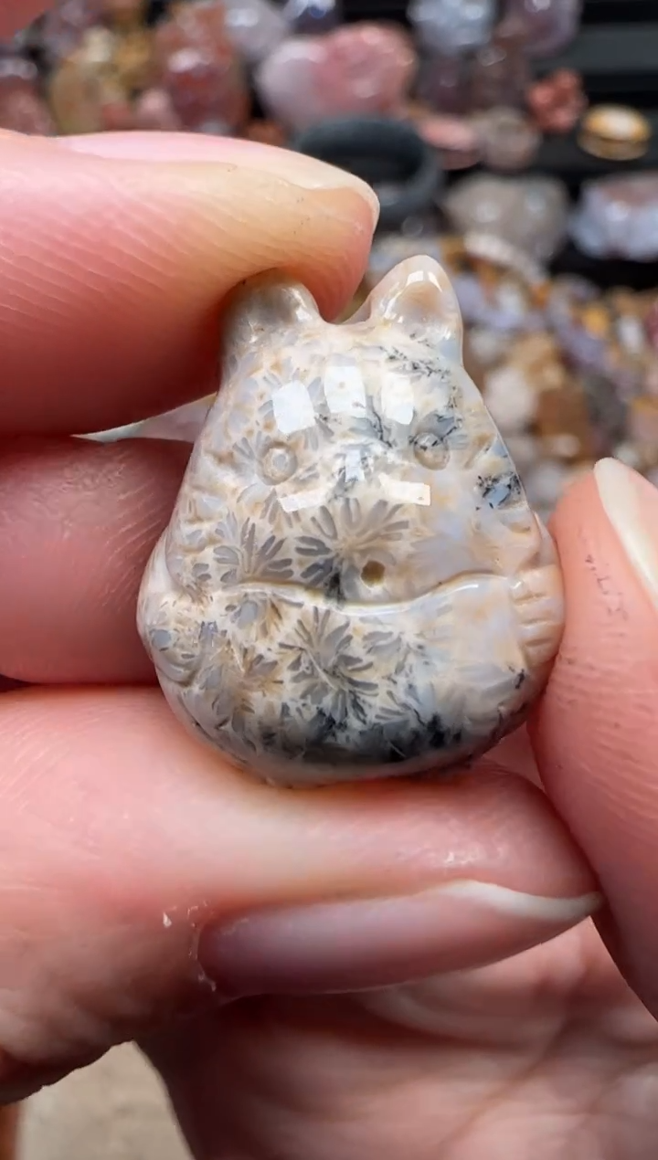 颈饰未镶嵌硅化珊瑚（珊瑚玉）075