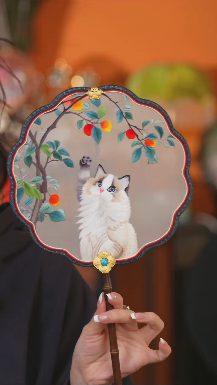 豆包豆包豆包豆包豆包