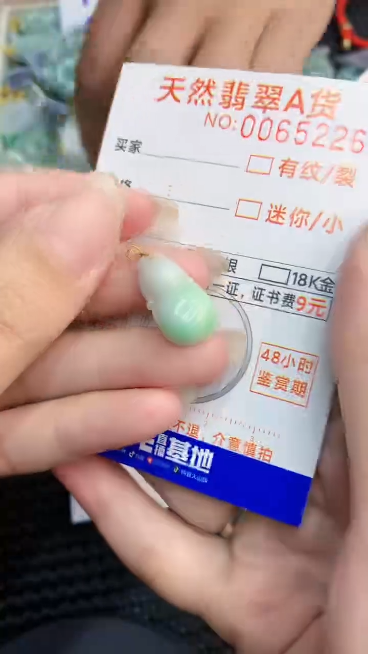 【闪购商品】翡翠颈饰18K金镶嵌            8