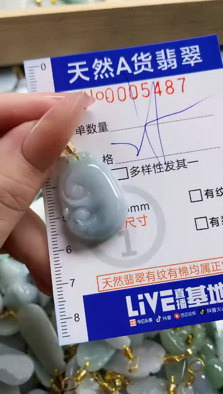 颈饰未镶嵌翡翠天然A货翡翠