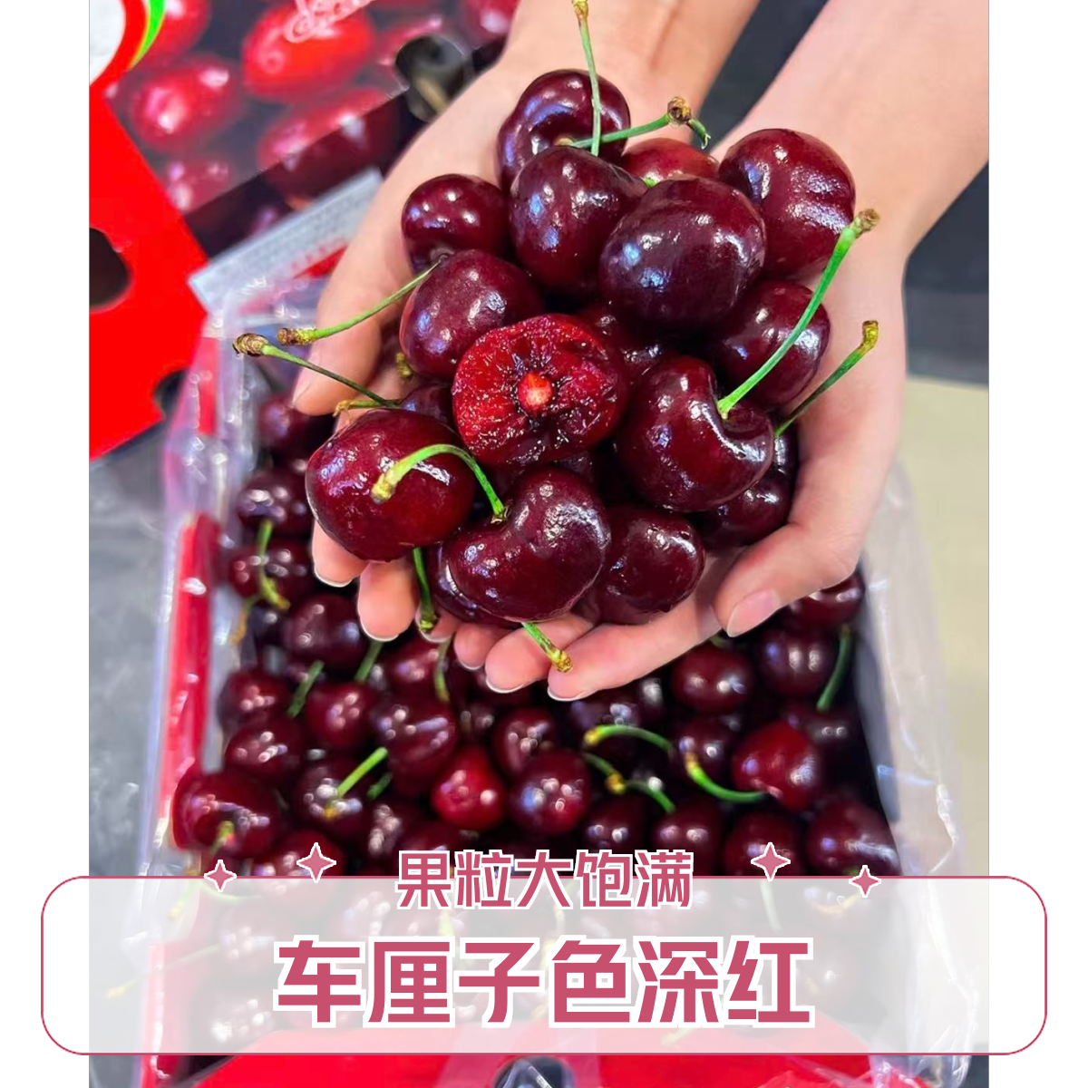 [ 4J ]  智利进口海运车厘子  1斤-5斤  送礼首选有面子智利