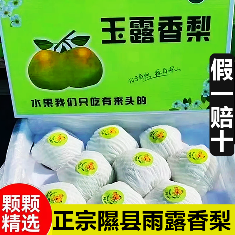 正宗山西隰县玉露香梨雨当季新鲜水果一大整箱皮薄梨子礼盒酥脆甜