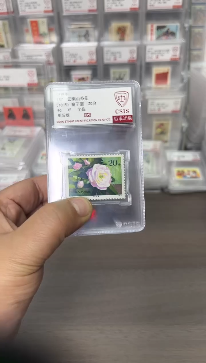 神**爽T37 山茶花 90OS