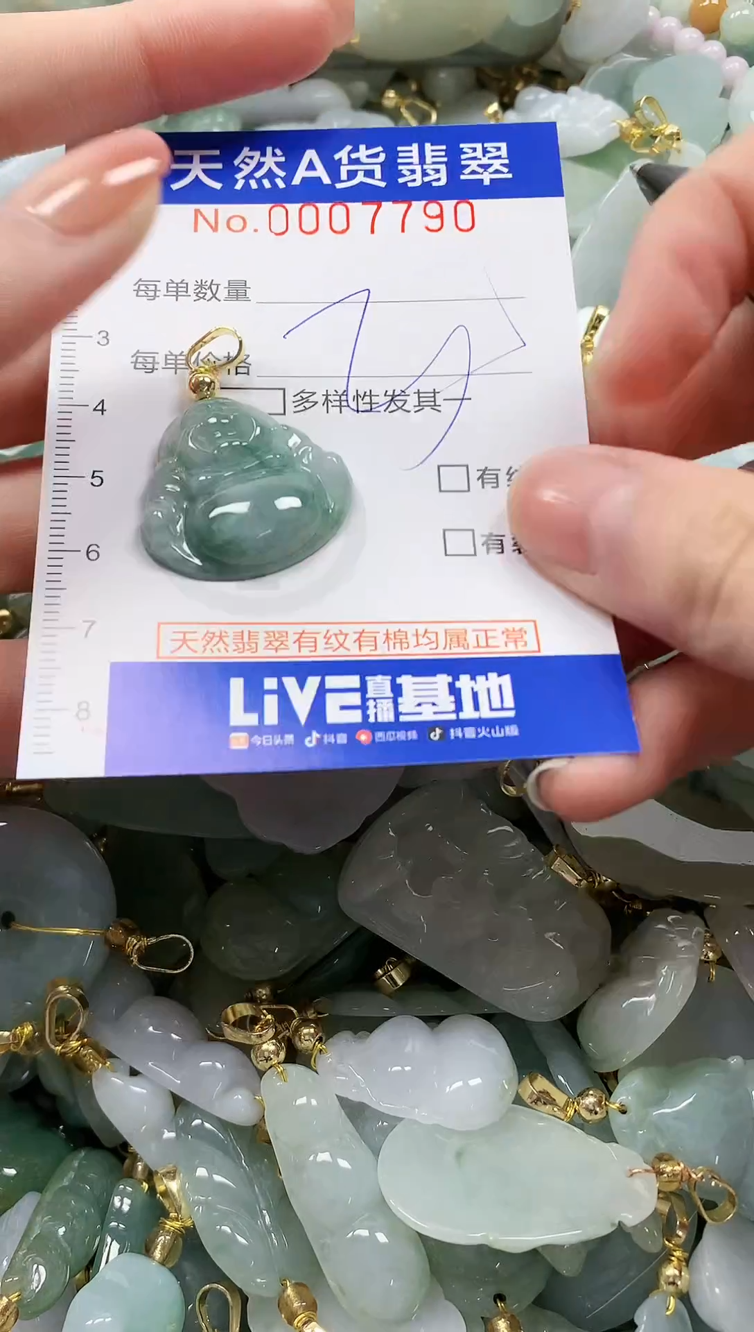 颈饰未镶嵌翡翠纯天然a货翡翠