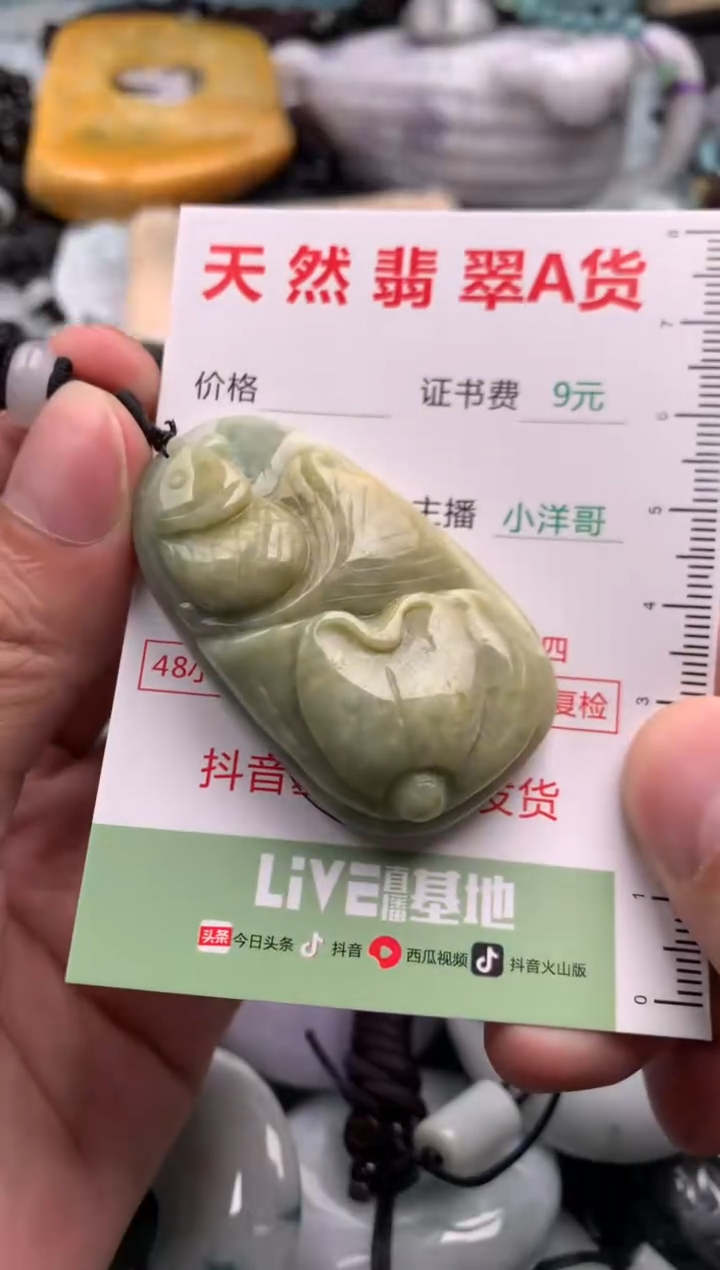 翡翠未镶嵌吊坠(不含链)1